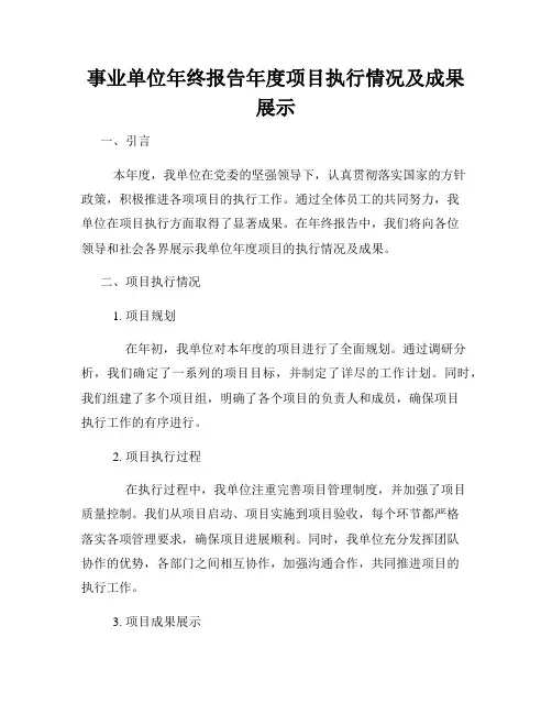 事业单位年终报告年度项目执行情况及成果展示