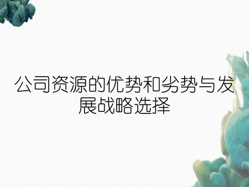 公司资源的优势和劣势与发展战略选择