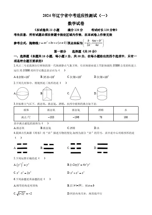 2024年辽宁省大连市部分学校九年级下学期中考联考数学试题(含答案)