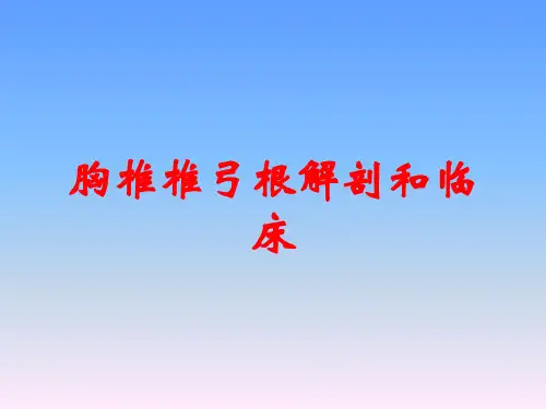 胸椎椎弓根解剖和临床