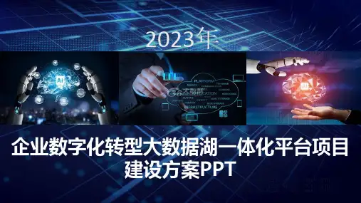 2023企业数字化转型大数据湖一体化平台项目建设方案
