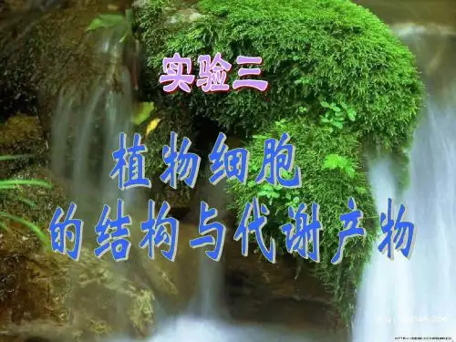 2-1-2观察植物细胞