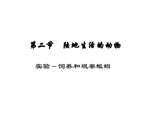 八年级生物饲养和观察蚯蚓(中学课件201910)