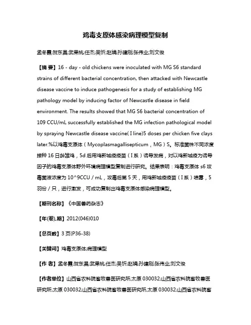 鸡毒支原体感染病理模型复制