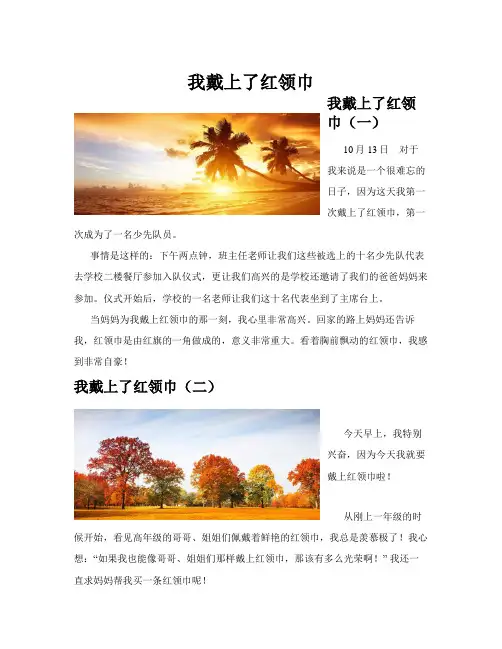 我戴上了红领巾(共10篇)