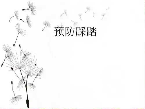 六年级上 生命安全 《预防踩踏》ppt课件