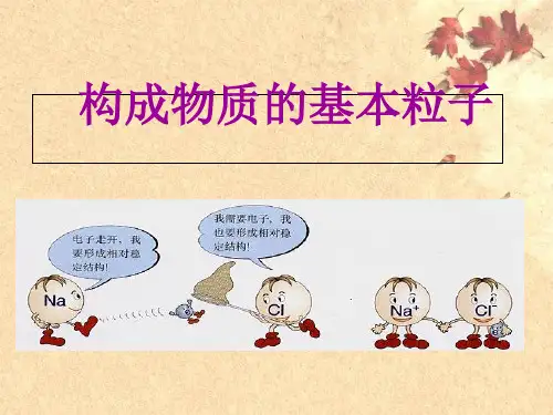 科粤版九上化学 第二章 2.2 离子ppt课件(共35张PPT)