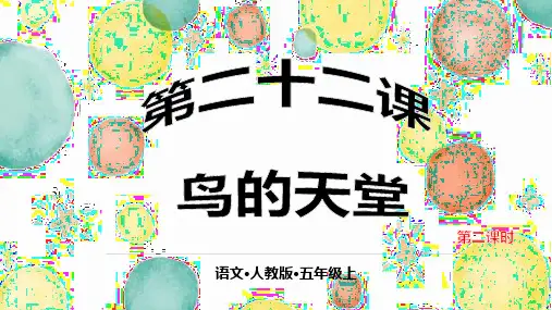 《鸟的天堂》公开课课件1