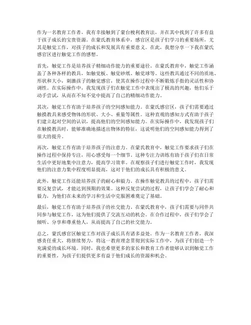 蒙氏感官区触觉工作感想