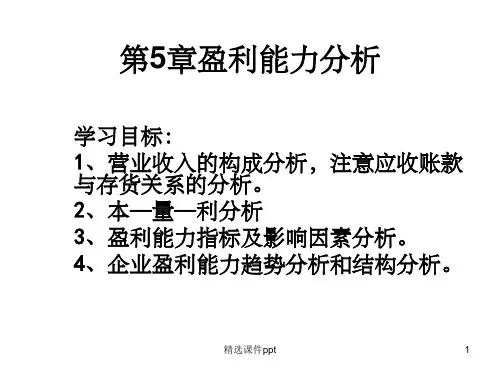 《盈利能力分析》PPT课件 (2)