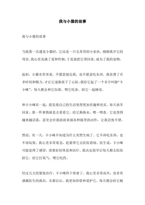 我与小猫的故事
