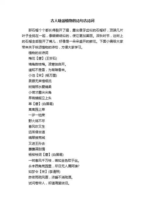 古人咏颂植物的诗句古诗词
