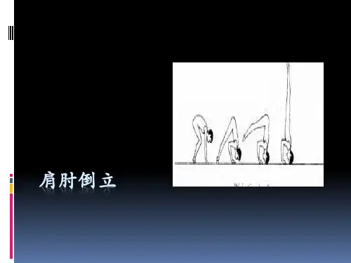 体育与健康《肩肘倒立》课件