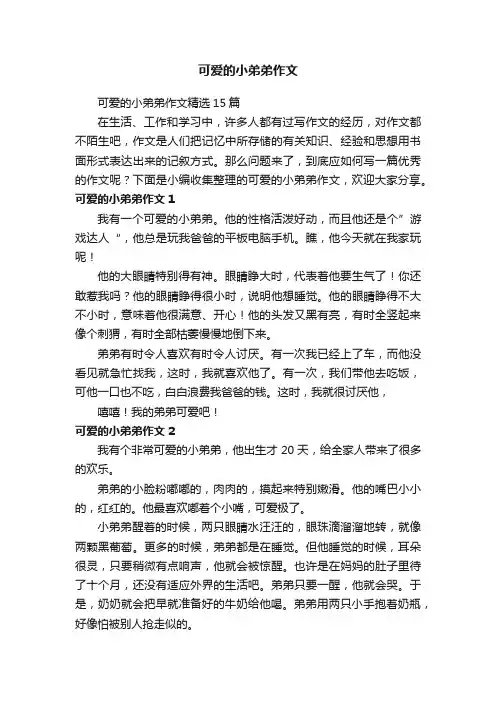 可爱的小弟弟作文精选15篇