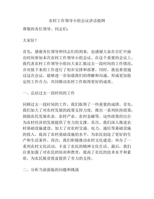 农村工作领导小组会议讲话提纲