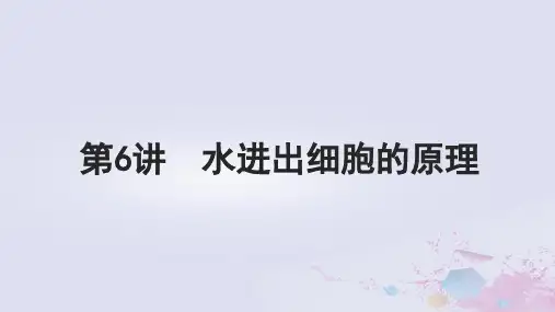 高考生物一轮总复习必修1第二单元细胞的结构和物质运输第6讲水进出细胞的原理