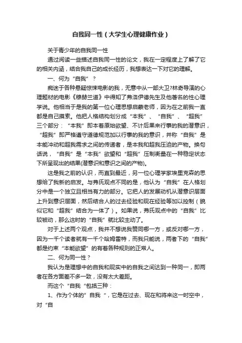 自我同一性（大学生心理健康作业）