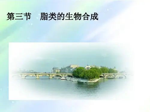 脂肪酸的生物合成