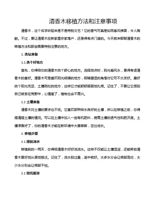 清香木移植方法和注意事项