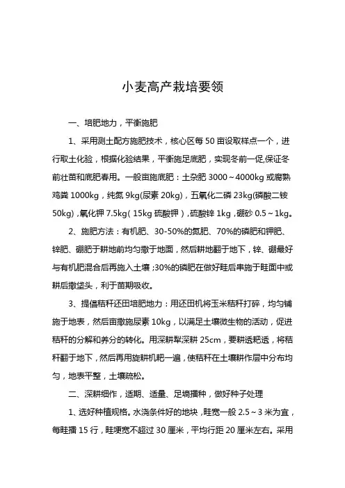 小麦高产栽培技术
