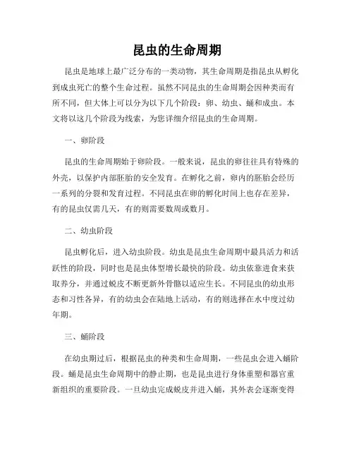 昆虫的生命周期