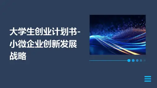 大学生创业计划书小微企业创新发展战略