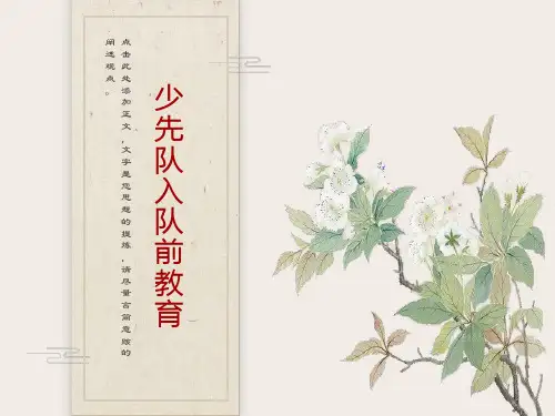 少先队入队前教育课件