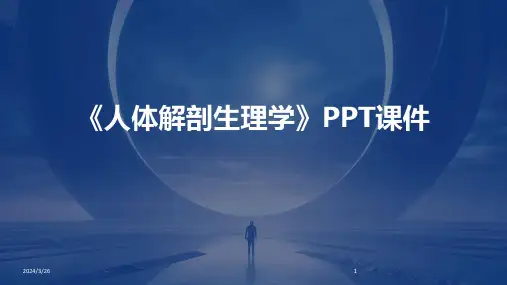 (2024年)《人体解剖生理学》PPT课件