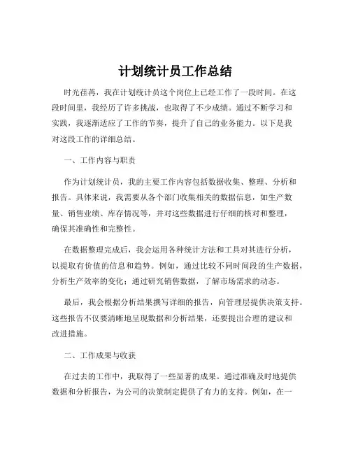 计划统计员工作总结