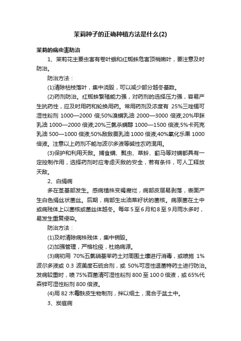 茉莉种子的正确种植方法是什么（2）
