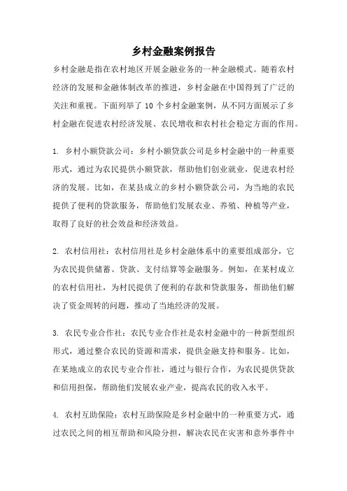 乡村金融案例报告
