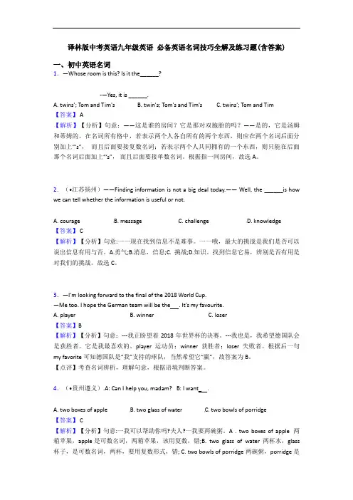  名词技巧全解及练习题(含答案)