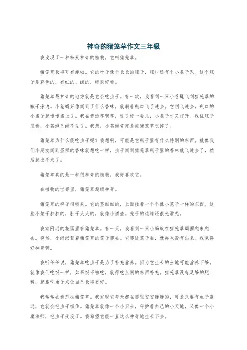 神奇的猪笼草作文三年级