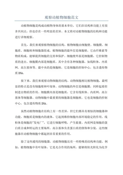 观察动植物细胞范文