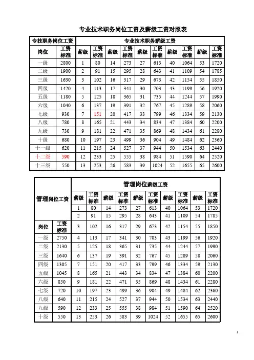 专业技术职务岗位工资及薪级工资对照表(A4)