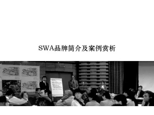 SWA简介资料