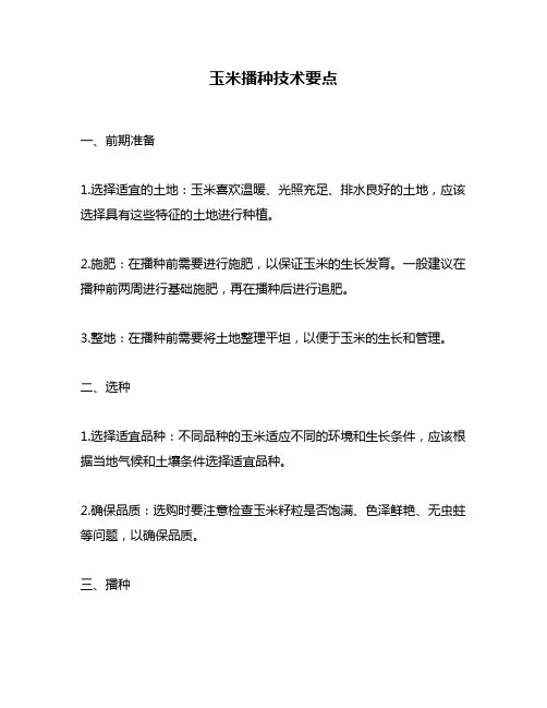 玉米播种技术要点
