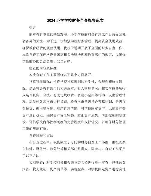 2024小学学校财务自查报告范文