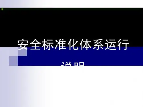 安全标准化体系运行说明