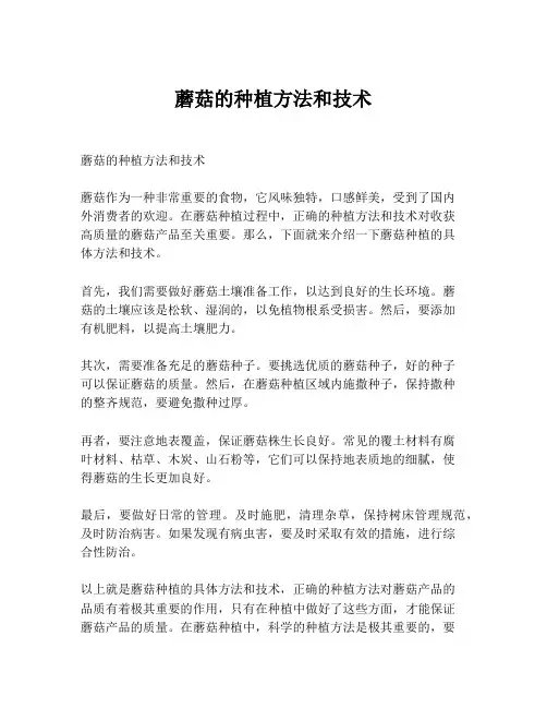 蘑菇的种植方法和技术