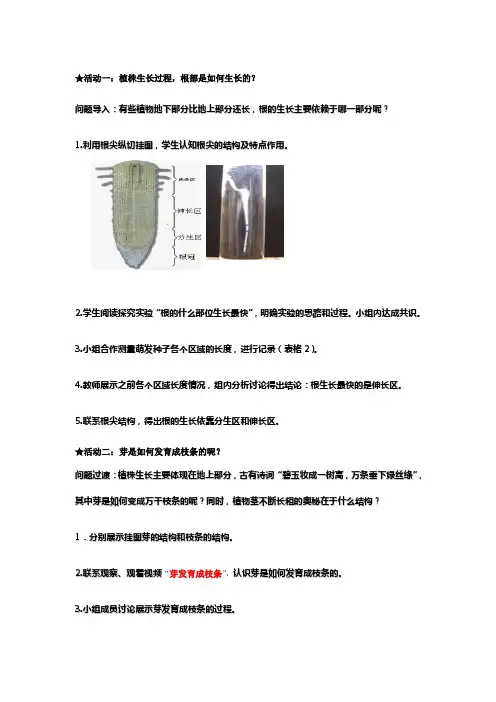 植株的生长导学案