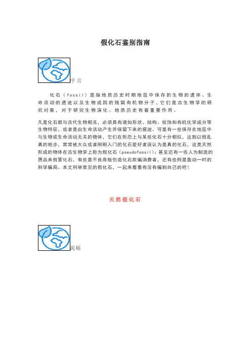 假化石鉴别指南