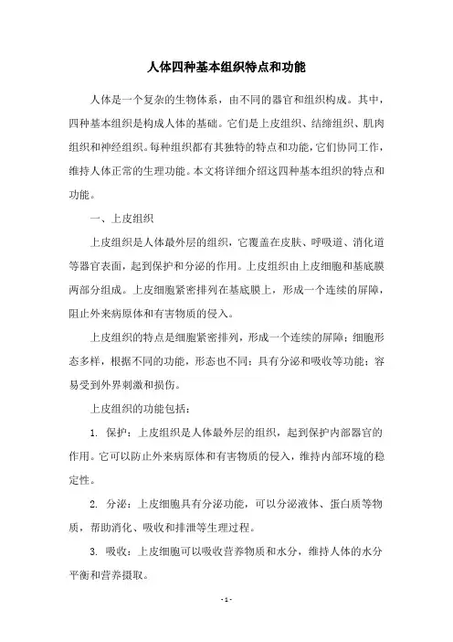 人体四种基本组织特点和功能