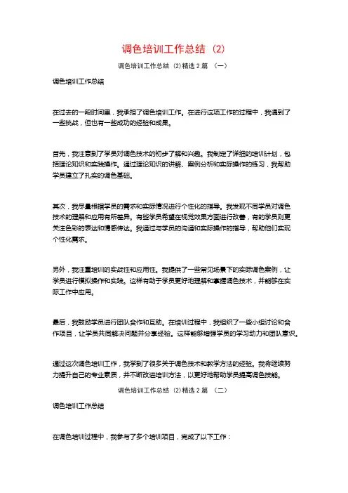 调色培训工作总结2篇