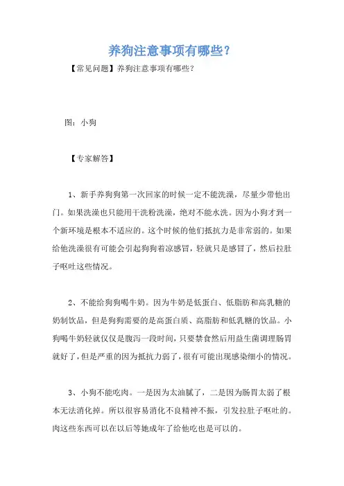 养狗注意事项有哪些？