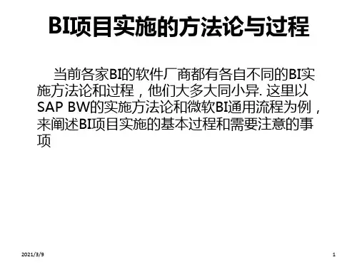 BI项目的实施过程PPT课件