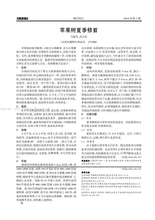 苹果树夏季修剪