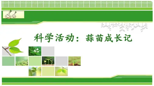 蒜苗成长记(课件)二年级上册科学青岛版