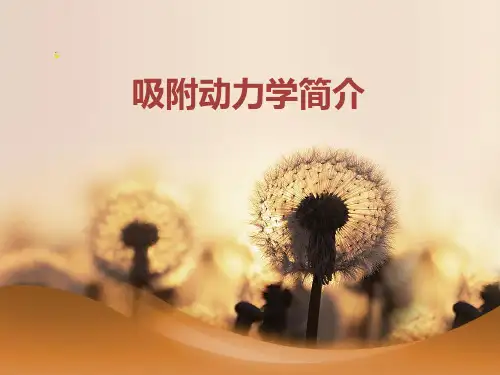 吸附动力学简介