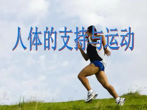 人体的支持与运动ppt1 苏科版